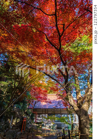 【紅葉の名所 聖宝寺】　鳴谷山聖宝寺　　いなべ市　三重県 121797354