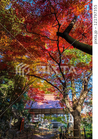 【紅葉の名所 聖宝寺】　鳴谷山聖宝寺　　いなべ市　三重県 121797355