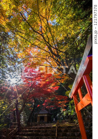 【聖宝寺 三重県】紅葉の中の鳥居 121797378