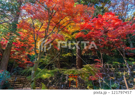 【聖宝寺 三重県】回遊式庭園 121797457