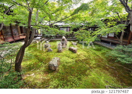 建仁寺の潮音庭 建仁寺の潮音庭 121797487