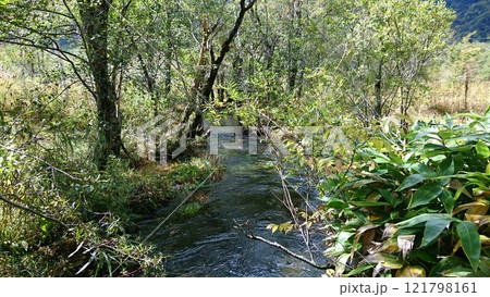 登山道 登山道 121798161
