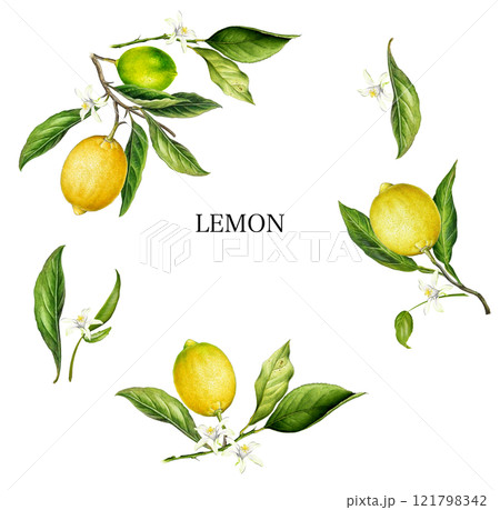 イラスト 121798342