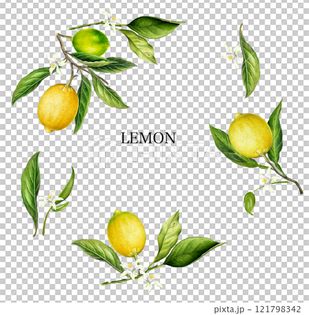 イラスト 121798342