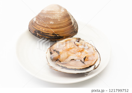お皿に載せた新鮮な生の北寄貝 お皿に載せた新鮮な生の北寄貝 121799752