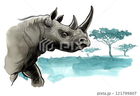 Rhinoceros in savannah.  121799807