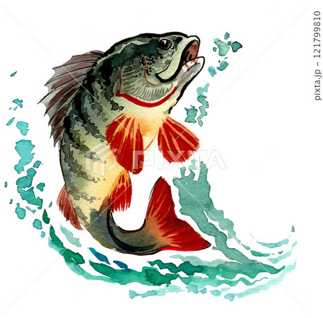 Jumping fish and splashing water. Watercolour painting Jumping fish and splashing water. Watercolour painting 121799810