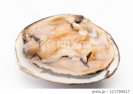 新鮮な生の北寄貝の身のクローズアップ 新鮮な生の北寄貝の身のクローズアップ 121799817