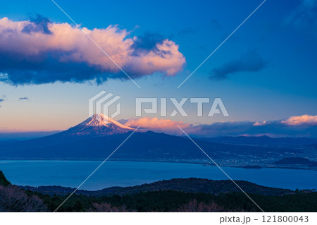 【静岡県】達磨山高原から望む富士山　夜明け 121800043