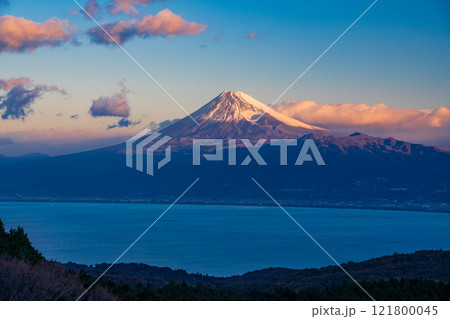【静岡県】達磨山高原から望む富士山　夜明け 121800045