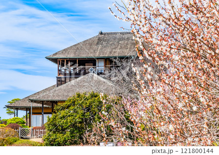 水戸偕楽園　好文亭と梅 121800144