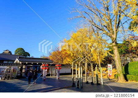 秋晴れを背景に紅葉風景　桜の馬場　城彩苑園内風景「お城まつり(秋のくまもとお城まつり)(竹あかり)」 121800154