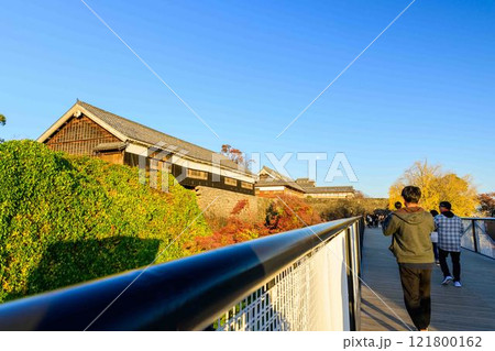 桜馬場城彩苑から観える秋景色「お城まつり(秋のくまもとお城まつり)(竹あかり)」 121800162