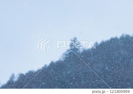 雪山の森 121800909