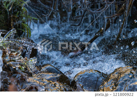 枝に付いた氷柱 枝に付いた氷柱 121800922