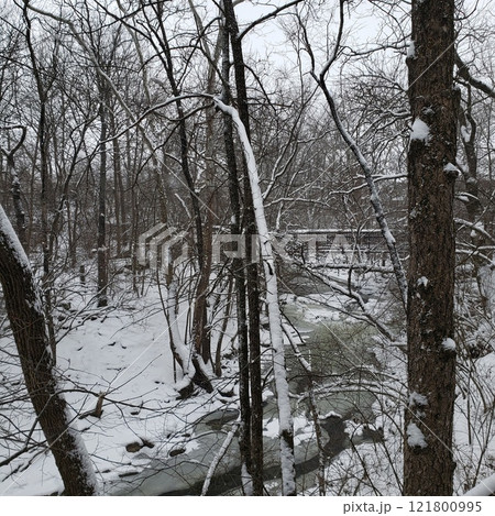 Blanket of Snow in Indian Run Falls Park, Dublin, Ohio 121800995