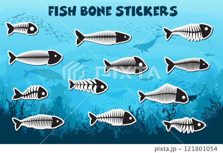 Stickers pack of fish bone skeleton silhouettes and sea underwater nature landscape vector background. Salmon, herring and bass fish skeletons with silhouettes of spine, rib, fin, tail and skull bones Stickers pack of fish bone skeleton silhouettes and sea underwater nature landscape vector background. Salmon, herring and bass fish skeletons with silhouettes of spine, rib, fin, tail and skull bones 121801054