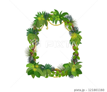 Tropical jungle frame with forest liana branch and leaves. Cartoon vector arched border made of natural foliage and exotic greenery, creeper plans and hanging roots. Photo frame or game menu template Tropical jungle frame with forest liana branch and leaves. Cartoon vector arched border made of natural foliage and exotic greenery, creeper plans and hanging roots. Photo frame or game menu template 121801160