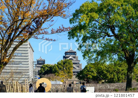 もっと知る(見学通路)から観える熊本城(秋景色)お城まつり(秋のくまもとお城まつり)(竹あかり) 121801457