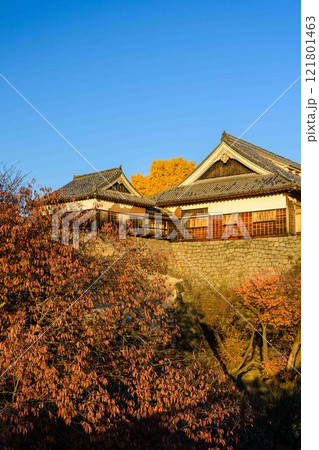 もっと知る(見学通路)から観える熊本城(秋景色)お城まつり(秋のくまもとお城まつり)(竹あかり) もっと知る(見学通路)から観える熊本城(秋景色)お城まつり(秋のくまもとお城まつり)(竹あかり) 121801463