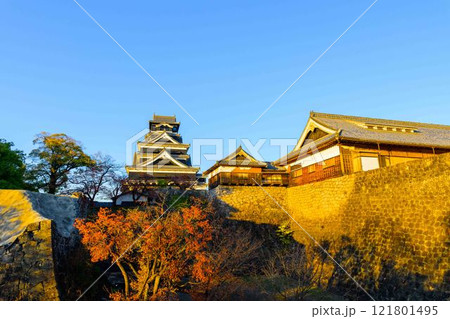 もっと知る(見学通路)から観える熊本城(秋景色)お城まつり(秋のくまもとお城まつり)(竹あかり) もっと知る(見学通路)から観える熊本城(秋景色)お城まつり(秋のくまもとお城まつり)(竹あかり) 121801495