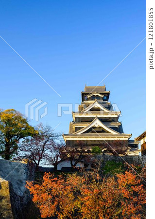 もっと知る(見学通路)から観える熊本城(秋景色)お城まつり(秋のくまもとお城まつり)(竹あかり) もっと知る(見学通路)から観える熊本城(秋景色)お城まつり(秋のくまもとお城まつり)(竹あかり) 121801855