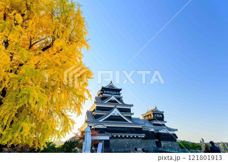 もっと知る(見学通路)から観える熊本城(秋景色)お城まつり(秋のくまもとお城まつり)(竹あかり) 121801913