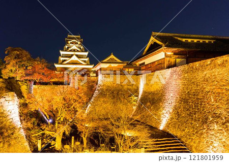 雲上の熊本城ライトアップお城まつり(秋のくまもとお城まつり)(竹あかり) 雲上の熊本城ライトアップお城まつり(秋のくまもとお城まつり)(竹あかり) 121801959