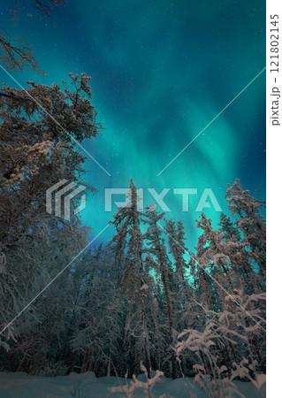 オーロラの見える景色、オーロラ鑑賞、世界 121802145