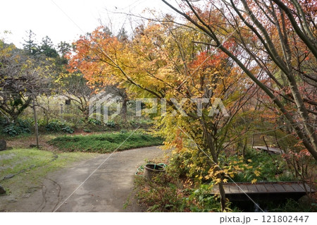 紅葉と竹林のある散策路 紅葉と竹林のある散策路 121802447