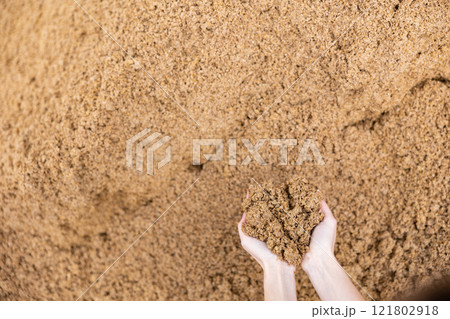 Closeup of beer bagasse in female hands Closeup of beer bagasse in female hands 121802918