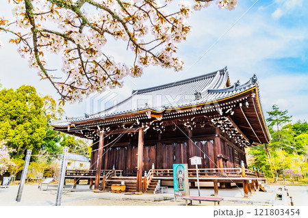 京都 桜咲く仁和寺 観音堂 京都 桜咲く仁和寺 観音堂 121803454