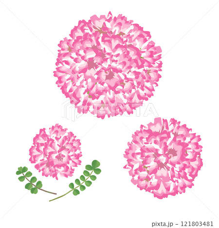 たくさんのれんげ草をボール型にまとめたフラワーアレンジメント　イラストセット 121803481