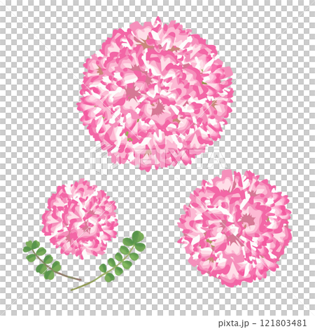 たくさんのれんげ草をボール型にまとめたフラワーアレンジメント　イラストセット 121803481