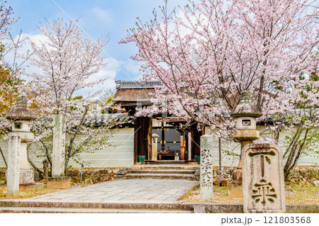 京都 桜咲く仁和寺　御影堂前門 121803568