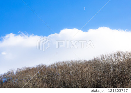 冬の青空と雲と枯れ木の森の風景 121803737