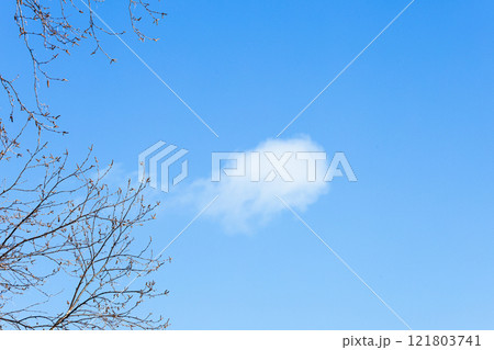 冬の青空と雲と枯れ木の風景 冬の青空と雲と枯れ木の風景 121803741