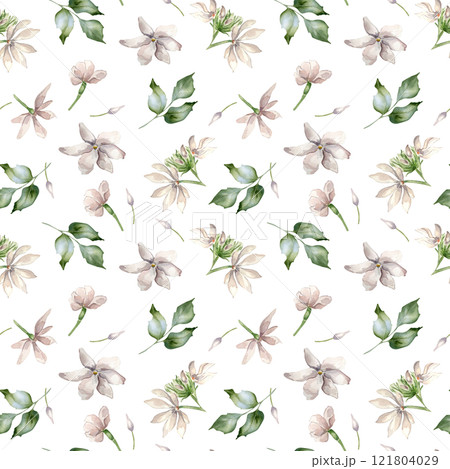 Watercolor of Jasmine, buds, leaves seamless pattern isolated. Botanical flowers in pastel colors hand drawn on repeated texture. Camellia background in pale pink for textile, package, wallpaper. 121804029