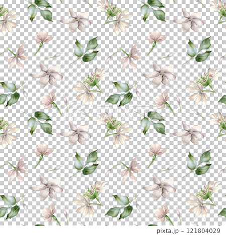 Watercolor of Jasmine, buds, leaves seamless pattern isolated. Botanical flowers in pastel colors hand drawn on repeated texture. Camellia background in pale pink for textile, package, wallpaper. 121804029