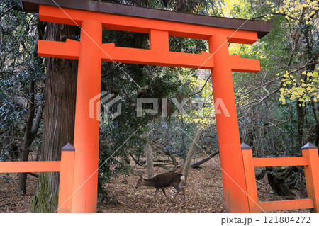 世界遺産 春日大社 御蓋山浮雲峰遥拝所 世界遺産 春日大社 御蓋山浮雲峰遥拝所 121804272