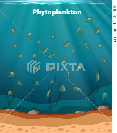 Underwater Phytoplankton Ecosystem Illustration 121804616