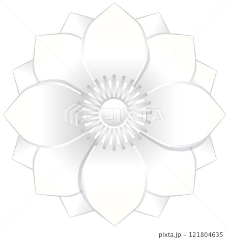 Elegant White Flower Illustration 121804635