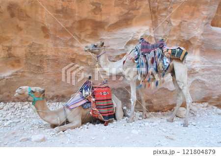 ヨルダン、ペトラ、ペトラ遺跡、エル・ハズネ(宝物殿)前のラクダ ヨルダン、ペトラ、ペトラ遺跡、エル・ハズネ(宝物殿)前のラクダ 121804879