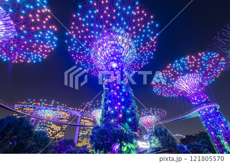 Low-angle view of the Supertree Grove at Gardens by the Bay in Singapore, there is an exhilarating light and musical show at night. 121805570
