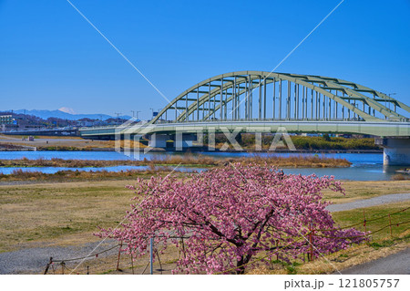 河津桜が咲く東京都狛江市の多摩川河川敷から多摩水道橋と川崎市多摩区、富士山方面を見る 121805757