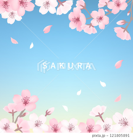 桜の背景_スクエア水色 121805891