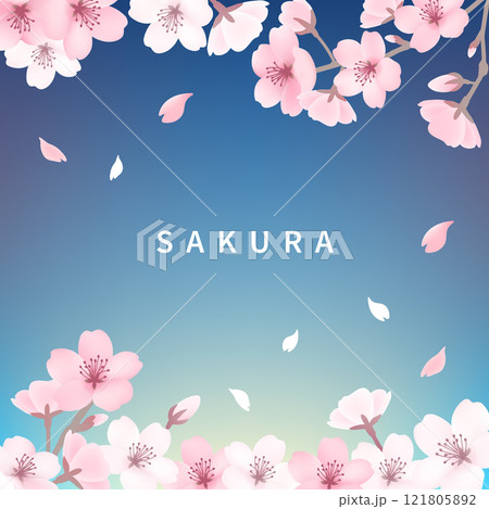 桜の背景_スクエア青 121805892