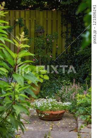 Vibrant green garden by a fence outdoors in a backyard of a home or house. Botanical yard with plants and flowers growing near a wooden barrier on a spring day. Flourishing foliage outside in a yard Vibrant green garden by a fence outdoors in a backyard of a home or house. Botanical yard with plants and flowers growing near a wooden barrier on a spring day. Flourishing foliage outside in a yard 121806241