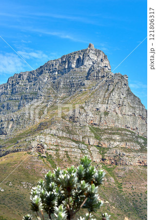 Stunning landscape of Table Mountain with a tree underneath in the summer with copy space. View of big mountain National park in South Africa with beautiful green nature blue sky in the background 121806317