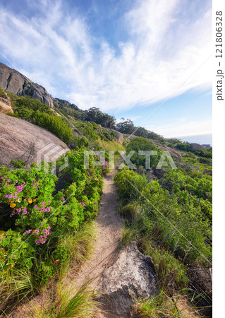 Relaxing nature scene of outdoor hiking trail amongst flower fields on a mountain on a sunny day in Summer or Spring. Peaceful walking path between plants and bushes. Scenic route with trees ahead. Relaxing nature scene of outdoor hiking trail amongst flower fields on a mountain on a sunny day in Summer or Spring. Peaceful walking path between plants and bushes. Scenic route with trees ahead. 121806328